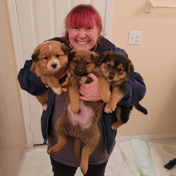 Meet your Posher, Cassie - Picture 1 of 1